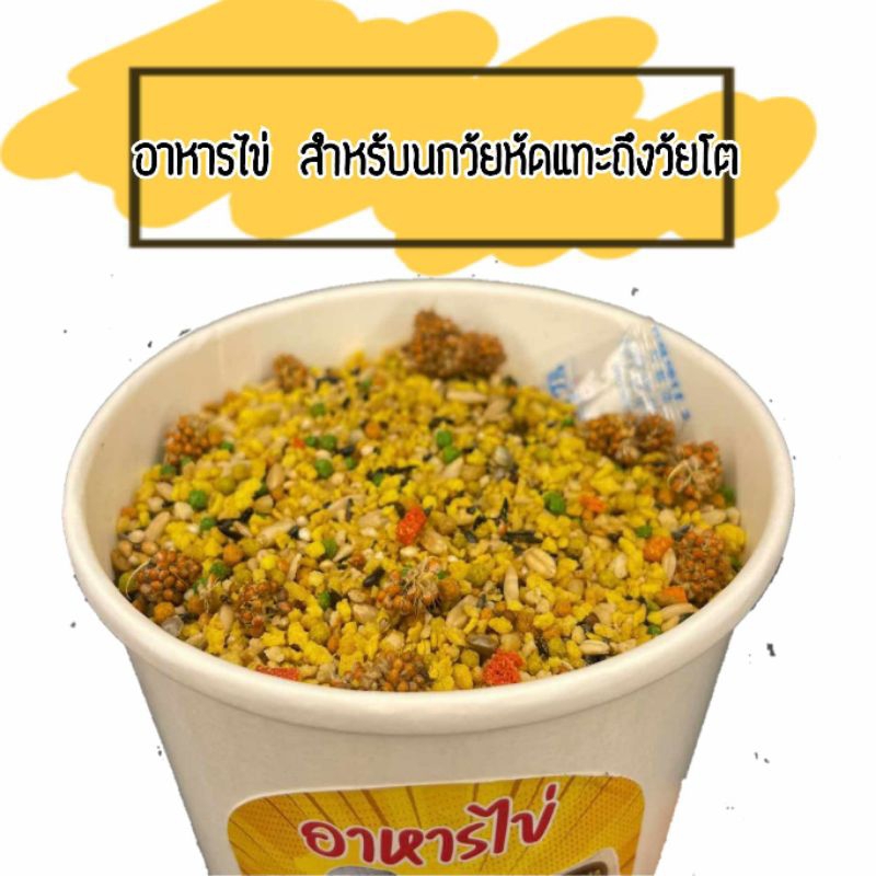 อาหารไข่นกแก้วสูตรบ้าน T&B Forpus Farm สำหรับวัยหัดแทะถึงวัยโต