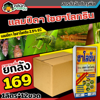 🥬 💥💥 สินค้ายกลัง 💥💥 ฮาโลซัน (แลมป์ดา-ไซฮาโลทริน) บรรจุ 1ลิตร*12ขวด ป้องกันกำจัดหนอน เพลี้ยไฟ แมลงหร่า หนอนแดง เพลี้ยจักจ