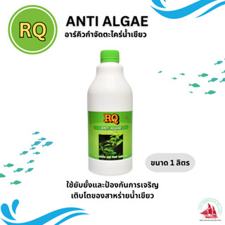 RQ ANTI ALGAE (อาร์คิว กำจัดตะไคร่น้ำเขียว) 1000ml