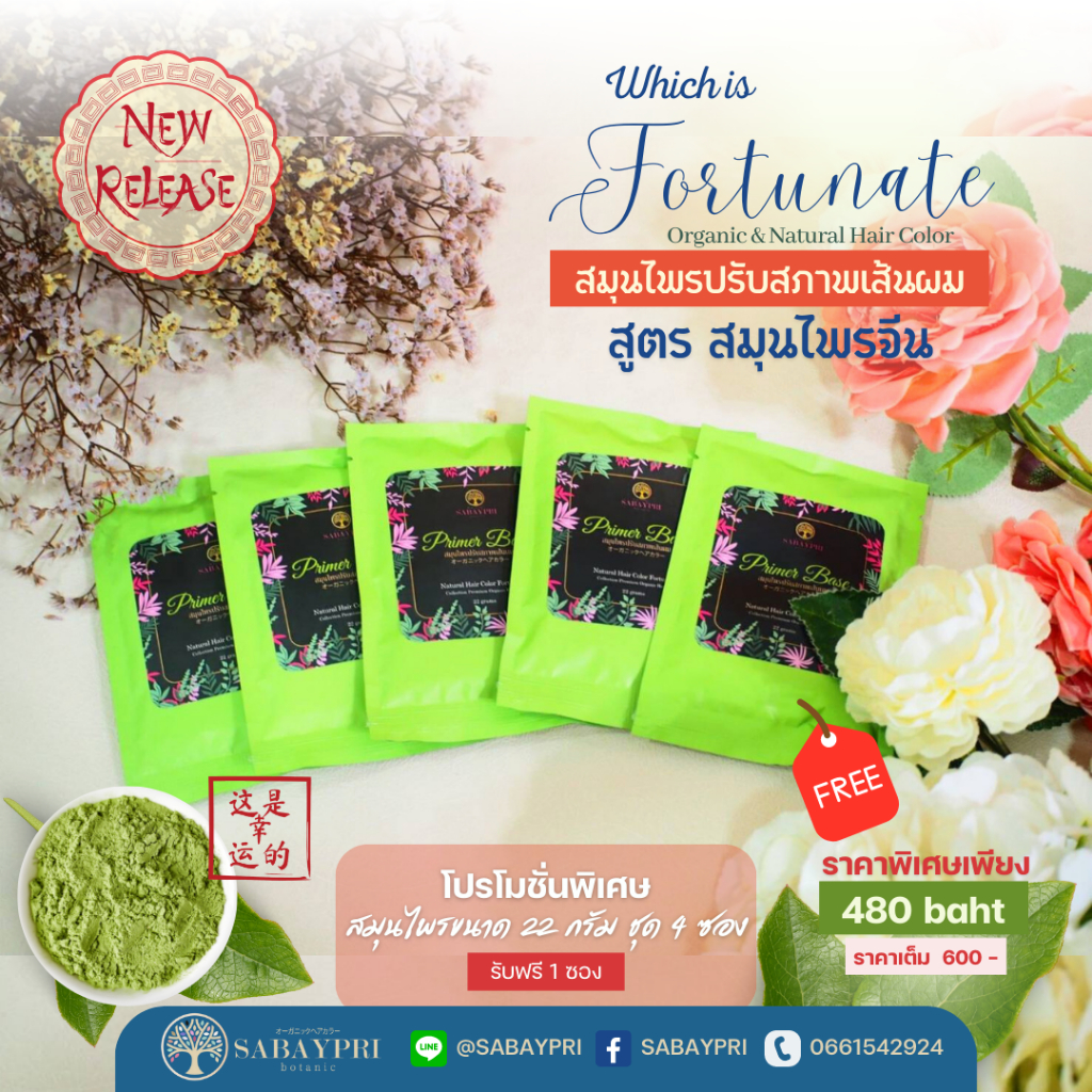 Primer Base ผงปรับสภาพผม สูตรสมุนไพรจีน