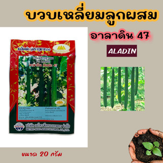 บวบเหลี่ยมลูกผสม ALADIN อะลาดิน 47 Loofah ขนาด 20 กรัม