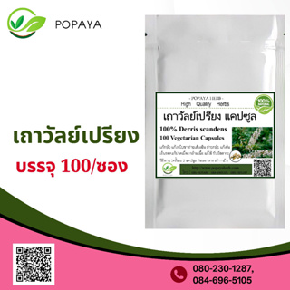 (P92) สมุนไพร Jewel Vine- Derris scandens 100 Cap.