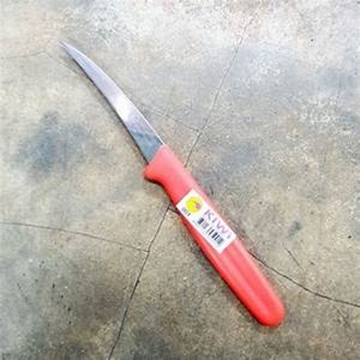 มีดคว้าน มีดแกะสลักNo.001 ยกกล่อง 24 เล่ม ด้ามแดง มีดกีวี่ มีดแกะผลไม้  KiWi แท้ 100% - รูปที่ 2