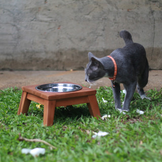 SiamMandalay Pet Bowl with Wooden Stand ชามอาหารสัตว์เลี้ยง ฐานไม้ ที่วางชามอาหารหมาแมว เดี่ยว 1 หลุม