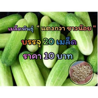 เมล็ดพันธุ์แตงกวา ขาวน้อย พันธุ์ลูกเล็ก อัตราการงอก 100%