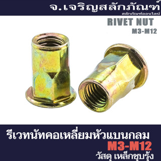 รีเวทนัทรุ่นคอเหลี่ยมชุบรุ้ง M3 M4 M5 M6 M8 (แพ็คละ 10 ตัว) รีเวทเกลียว Round Flat Head, Hexagonal-Necked rivet nut