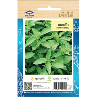 เมล็ดพันธ์ แมงลัก เจียไต๋