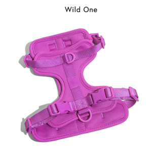 💜 Limited Color! │ Wild One – Harness│ Orchid