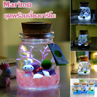 Marimo มอสบอล ชุดพร้อมเลี้ยงมาริโมะ แถมอุปกรณ์ครบชุดพร้อมเลี้ยง เหมาะสำหรับให้เป็นของขวัญสำหรับคนที่รัก มาริโมะ ของขวัญ