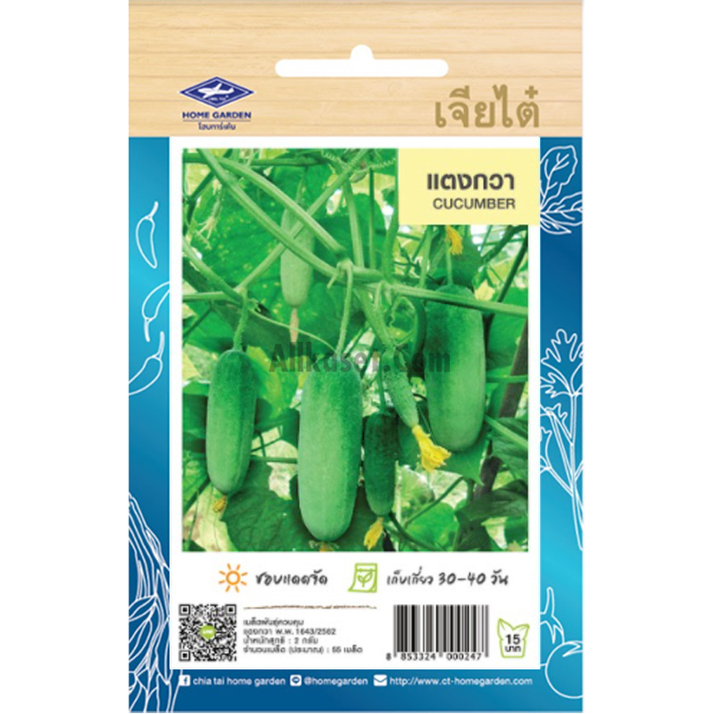 เมล็ดพันธ์ แตงกวา เจียไต๋