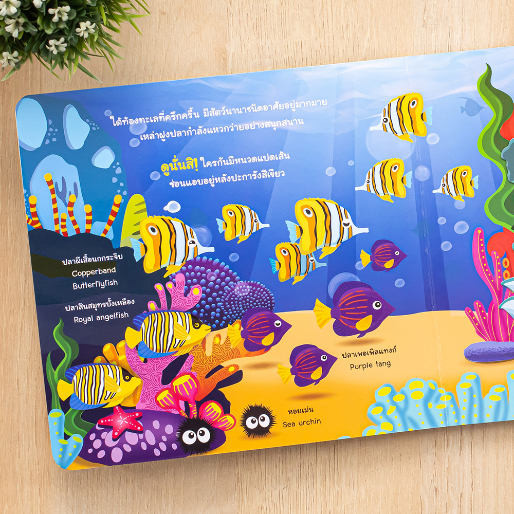 Little Heart(ลิตเติ้ลฮาร์ท)หนังสือ บอร์ดบุ๊ค ลองเปิดดูซิ! สัตว์โลกใต้ทะเล 9786164874329 - รูปที่ 2