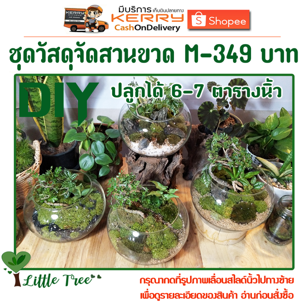 ชุดวัสดุจัดสวนขวด Terrarium ขนาดกลาง-ใหญ่ ไซต์ M-349 บาท จัดได้ 7 ตารางนิ้ว - รูปที่ 4