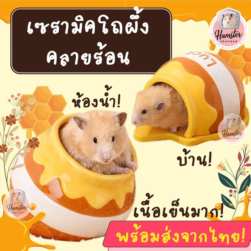 [Hamsterth] บ้าน ห้องน้ำ โถผึ้ง บ้านเซรามิค เนื้อเย็นคลายร้อน บ้านหนูแฮมสเตอร์ บ้านแฮมสเตอร์ บ้านหลบ