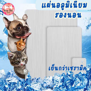 แผ่นอลูมิเนียมเย็น แผ่นเย็น ที่นอนกระต่าย รองกรง ที่นอนแมว อลูมิเนียม แฮมเตอร์ หมา Aluminum Pet Pad