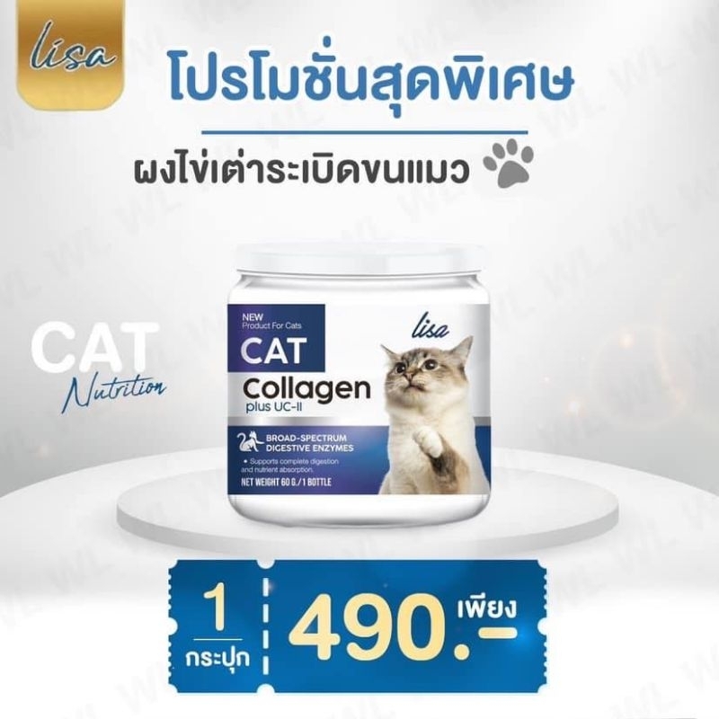 [EXP08/68] Lisa cat collagen 60g
