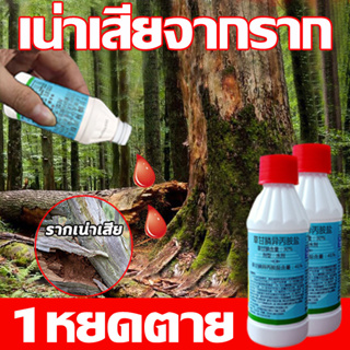 เน่าเสียจากราก ยากำจัดต้นไม้ 300ml เข้มข้นสุดๆ ยาฆ่าต้นไม้ใหญ่ 1หยดตาย  ยาฆ่าตอไม้ ผลติดทนนาน สารกำจัดกอไผ่ ยาฆ่าหญ้า