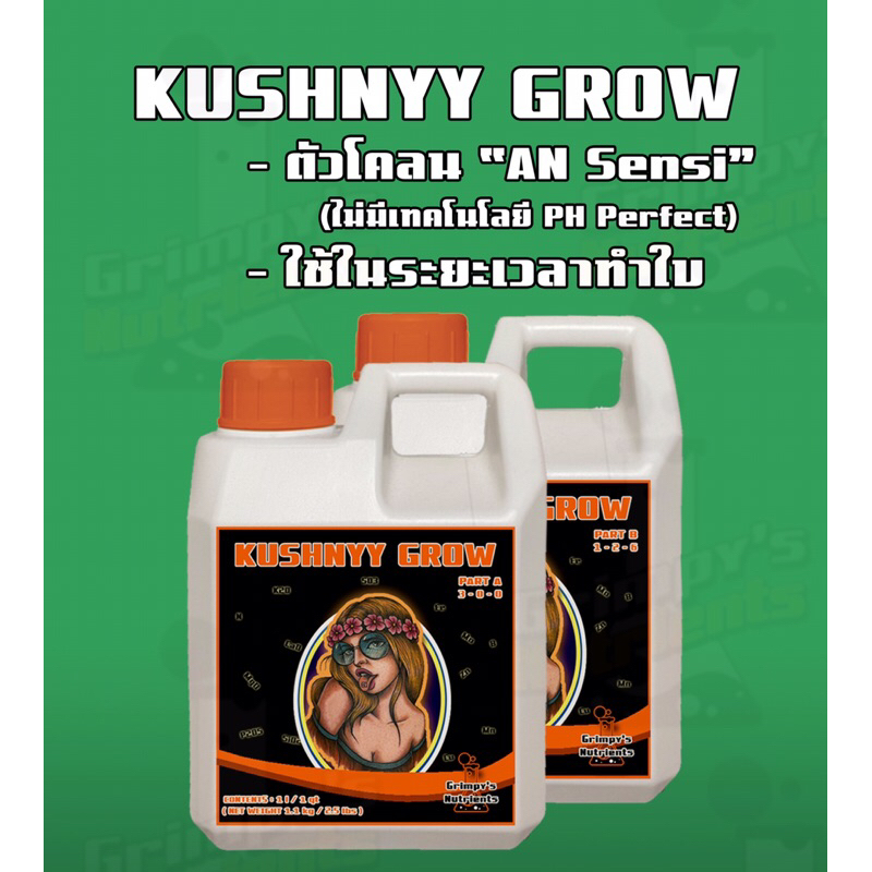 KUSHNYY GROW ปุ๋ยหลักทำใบ ปุ๋ยน้อนกัญตัวโคลน “AN Sensi”