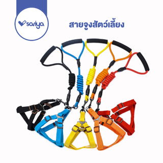 SARIYA สายจูงสุนัข EVA (CE395) สายจูงหมา สายจูงแมว สายจูงสัตว์เลี้ยง EVA SOFT HARNESS