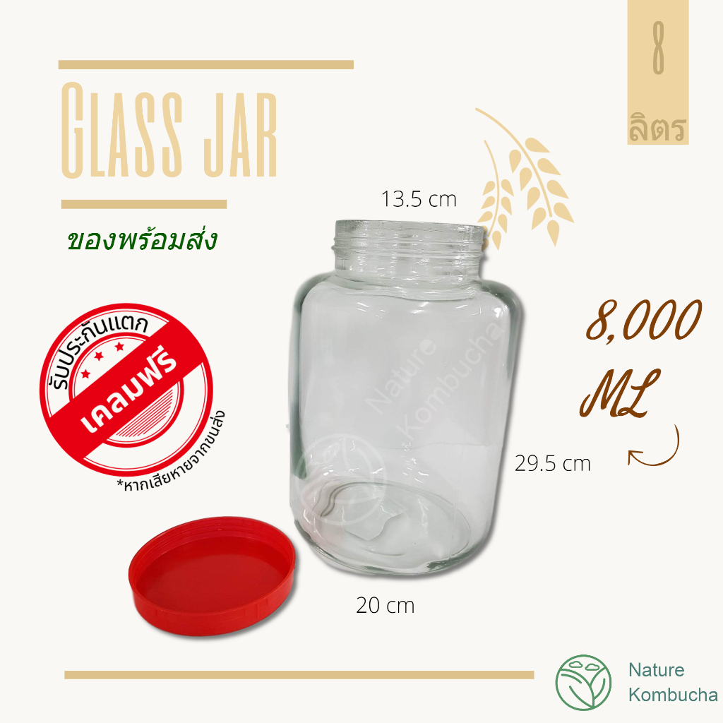 โหลแก้ว 8-10 ลิตร ดองบ๊วย ดองเหล้าบ๊วย คอมบูชา หมักดอง หนาคุณภาพ  | 8-10 Liter Glas JarKombucha brewing| Nature Kombucha