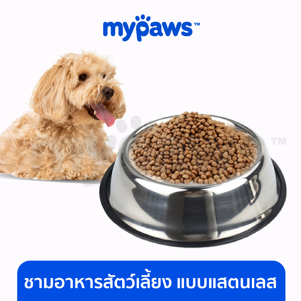 [ MYP18NV]My Paws ชามอาหารสัตว์เลี้ยง แบบแสตนเลส