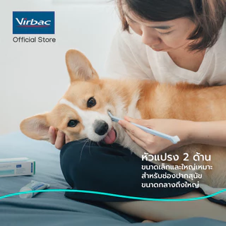 Virbac แปรงสีฟัน ซีอีที ดูอัล-เอ็นด์ [C.E.T.® Dual-End Toothbrush] แปรงสีฟันหัวแปรง 2 ด้าน