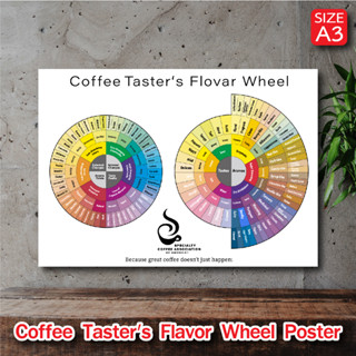 โปสเตอร์ กาแฟ Coffee Tasters Flavor Wheel Poster ตกแต่งร้านกาแฟ แต่งร้านกาแฟ ป้ายร้านกาแฟ ของตกแต่งร้านกาแฟ (A3)