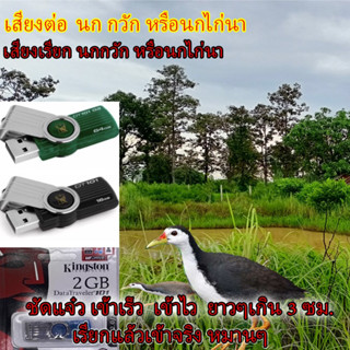 เสียงนกกวักเสียงต่อนกกวักแฟลไดรเสียงสัตว์ เครื่องเล่ม mp3 เข้าเร็ว เข้าไว ราคาถูกๆ