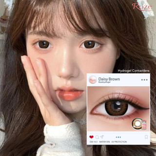 💋 มีค่าสายตา 💋 Rozelens Daisy Gray Brown Black  💋  บิ๊กอาย สุดปัง คอนแทคเลนส์ รายเดือน มีอย แถมตลับฟรี  เลนส์นิ่ม สวยปัง