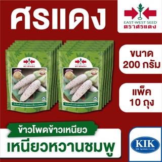 ขายส่ง เมล็ดพันธุ์ ศรแดง BIG ข้าวโพดข้าวเหนียว เหนียวหวานชมพู ขนาด 200 กรัม (200 กรัม X 10 ถุง)