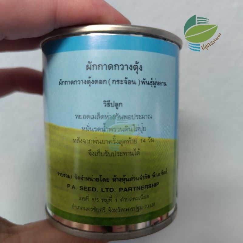 เมล็ดพันธุ์ ผักกาดกวางตุ้งดอก มู่หลาน ( Flowering Pokchoy) - รูปที่ 2