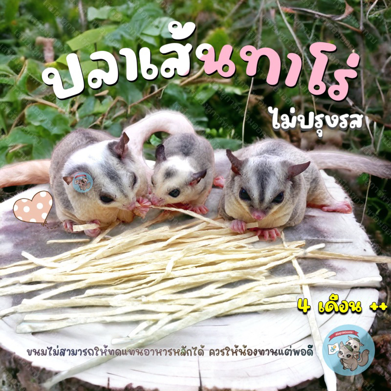 ( ปลาเส้น ) ปลาเส้นไม่ปรุงรส ขนม สัตว์เลี้ยง ชูการ์ กระรอก ดอร์เมาส์ แฮมสเตอร์ บุชเบบี้ เม่นแคระ มาโมเสท