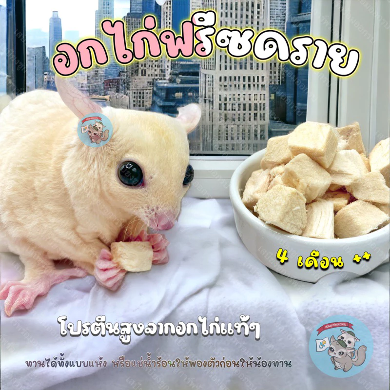 ( อกไก่ฟรีซดราย ) อกไก่ อกไก่ฟรีซดราย ไก่อบแห้ง ขนม ชูการ์ กระรอก ดอร์เมาส์ แฮมสเตอร์ บุชเบบี้ ลิงมาโมเสท
