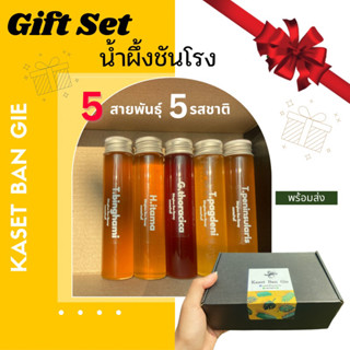 Gift Set น้ำผึ้งชันโรง 5 สายพันธุ์ 5 รสชาติ Kaset Ban Gie