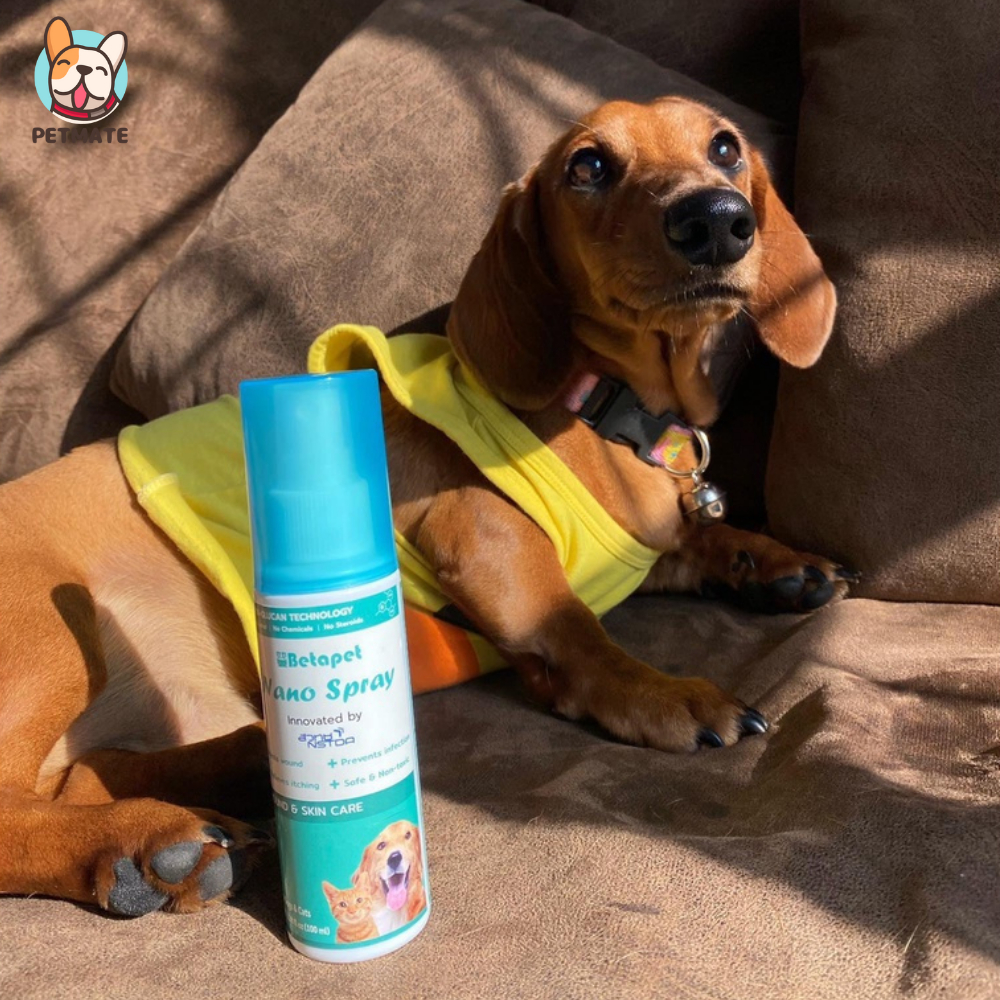 Betapet NANO Spray สเปรย์นาโน สกัดจากเบต้ากลูแคน สำหรับสุนัข หมา แมว เเละสัตว์เลี้ยงทุกชนิด - รูปที่ 3