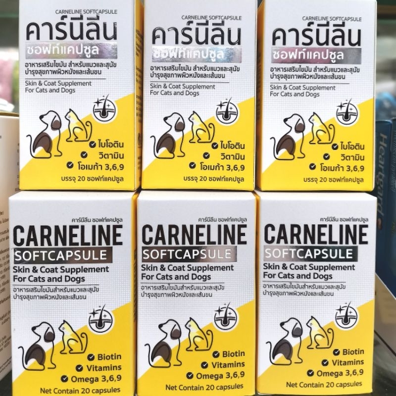 คาร์นิลีน ซ​อฟท์​แคปซูล​ 💠วิตามิน​บำรุง​ขน​และ​ผิวหนัง​💠 สำหรับ​สุนัข​และ​แมว​ทุกสายพันธุ์(20 แคปซูล)​