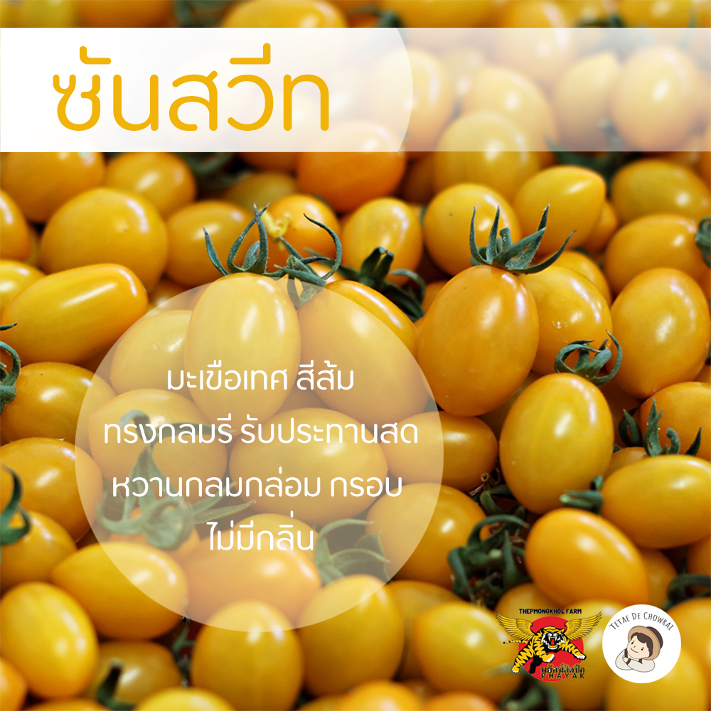 เมล็ดพันธุ์มะเขือเทศซันสวีท ตราพยัคฆ์ติดปีก 100 เมล็ด​ มะเขือเทศสีเหลือง เทพมงคลเมล็ดพันธุ์
