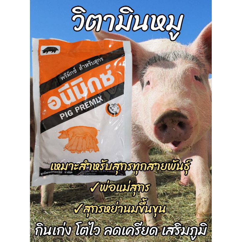 อนีมิกซ์(ขนาด450g) วิตามินหมู ลดเครียด แก้เเพ้วัคซีน ช่วยย่อยเร่งการเติบโต เนื้อแดงดี หมูกินอาหารเก่ง เนื้อแน่น