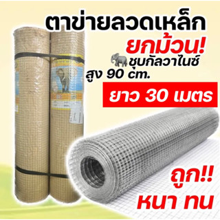 ตาข่ายลวดเหล็ก 1/2” สูง90 ซม. xยาว30เมตร ตราช้างเคลือมกันสนิม