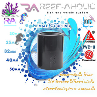 Reef-Aholic Sanking Female Adaptor ต่อตรงเกลียวใน 20 -  50 mm (SxT) สีเทาฮับ แน่นหนัก ทนทาน นานตลอดไป