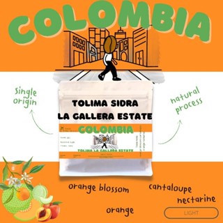 Roastervation เมล็ดกาแฟคั่ว Colombia Tolima sidra