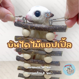 V ( บันไดไม้แอปเปิ้ล ) บันได ที่ปีน ของเล่น ของเล่นไม้ ไม้แทะ ของเล่นกระรอก ของเล่นชูการ์ ของเล่นแฮมสเตอร์ ไม้แอปเปิ้ล