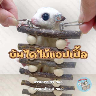 ( บันไดไม้แอปเปิ้ล ) ของเล่น บันได ที่ปีน ของเล่นไม้ ไม้แทะ ของเล่นกระรอก ของเล่นชูการ์ ของเล่นแฮมสเตอร์ ไม้แอปเปิ้ล