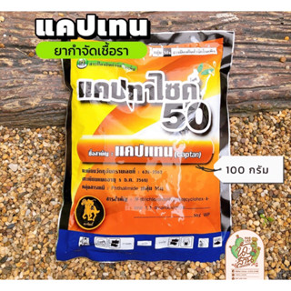 แคปแทน แคปทาไซด์ 50 ขนาด 100 กรัม ป้องกัน กำจัดเชื้อรา คลุกเมล็ด ไม้ดอก ไม้ประดับ ใบจุด ใบเหลือง ใบไหม้