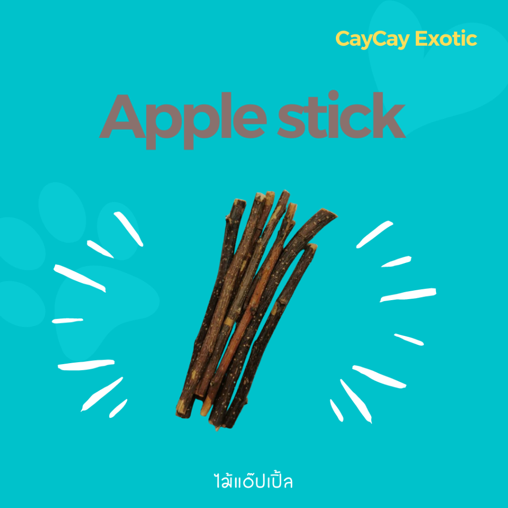 caycay apple stick ไม้เเอปเปิ้ลสำหรับสัตว์ฟันเเทะ
