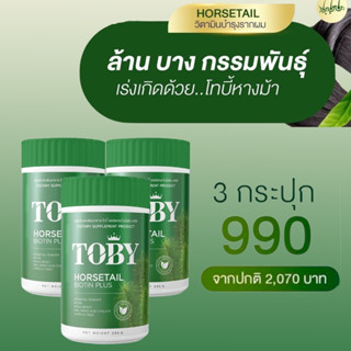 TOBY HORSETAIL BIOTIN PLUS โทบี้ ฮอร์สเทล ไบโอติน พลัส อาหารเสริมบำรุงผม อาหารเสริมบำรุงเส้นผม วิตามินบำรุงผม 3 กระปุก