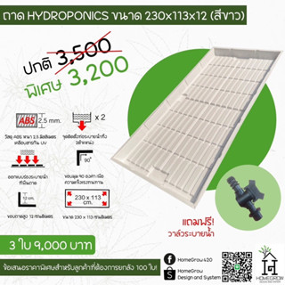 ถาดปลูกต้นไม้ ถาดปลูก HYDROPONICS ขนาด230*113