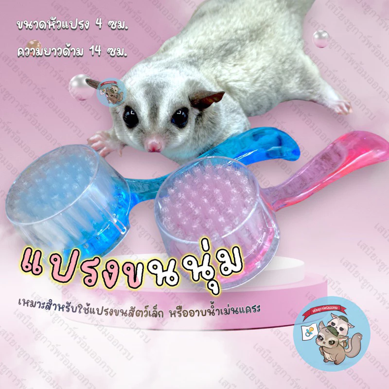 V ( แปรงขนนุ่ม ) BRUSH แปรงนุ่มหวีขน แปรงหวีขน แปรงนุ่ม ชูการ์ กระรอก แฮมสเตอร์ แปรงเม่น แปรงเม่นแคระ แปรงอาบน้ำเม่นแคระ