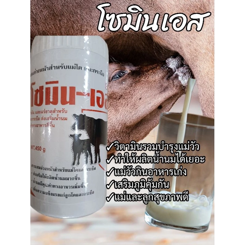โซมินเอส วิตามินเร่งน้ำนมวัว-ควาย (ขนาด450g) ประสานน้ำนมวัว-ควาย ช่วยให้น้ำนมเยอะคุณค่าทางอาหารเพิ่มขึ้น