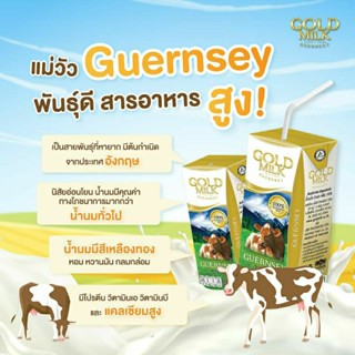 🚩เพิ่มปริมาณ 200ml. Goldmilk Gold Milk นมวัวแท้ 💯% ส่งตรงจากฟาร์ม ส่งฟรี นมโมเลกุลเล็กย่อยง่าย สารอาหารจากธรรมชาติ