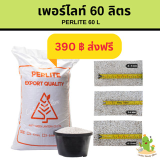 เพอร์ไลท์ 60L 📍ส่งฟรี📍perlite วัสดุปลูกทำให้ดินโปร่งอุ้มน้ำและระบายอากาศได้ดี